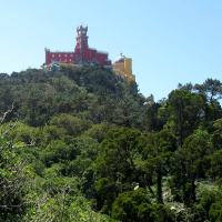Discover the Magic of Sintra's Enchanting Forest with Cascais Routes!